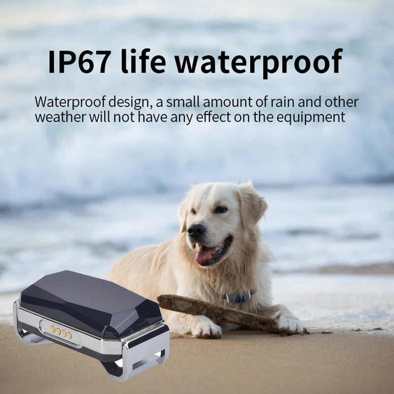 Coleira Inteligente Pet com Localizador GPS via SIM CARD