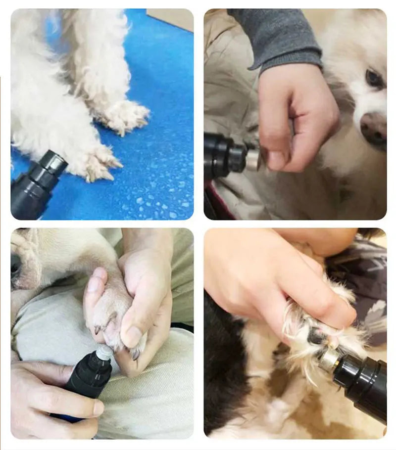 Aparador Eletrônico de Unhas para Pets com 5 Peças Extras