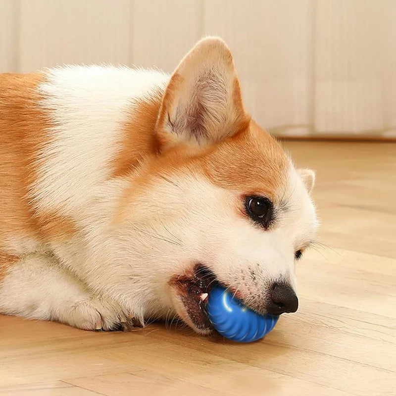 Bolinha Eletrônica de Brinquedo para Pets